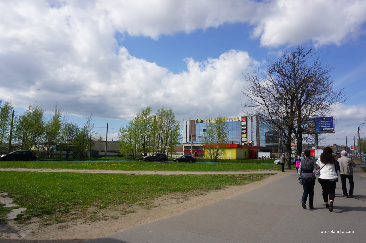 Липовая алея.