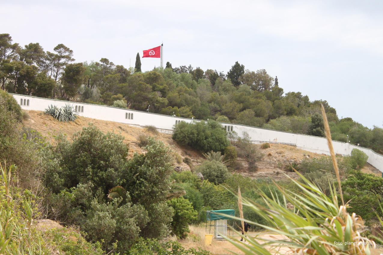 Картаж. Резиденция президента Туниса.