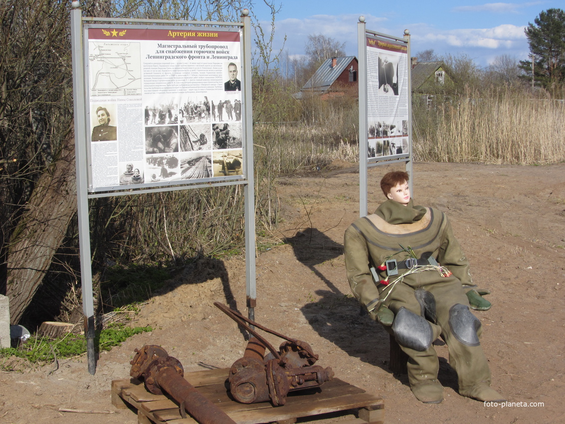 Нина Соколова трудилась с первых дней войны в водолазной бригаде