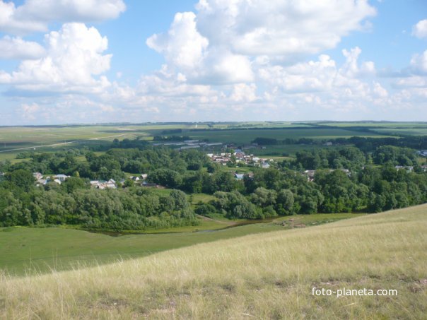 Тарказы