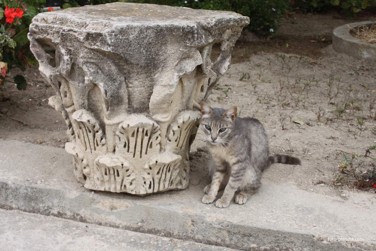 Карфаген. Национальный музей Карфагена.