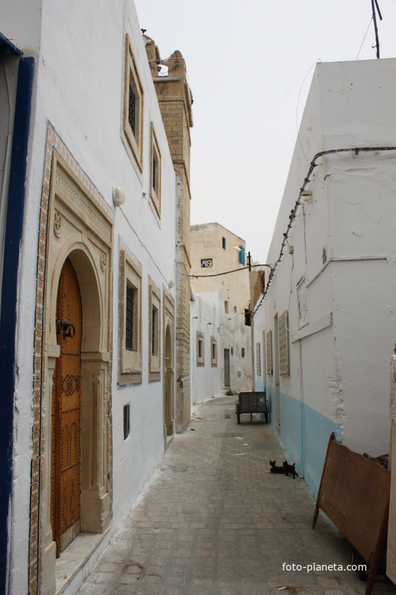 Набель. Медина.