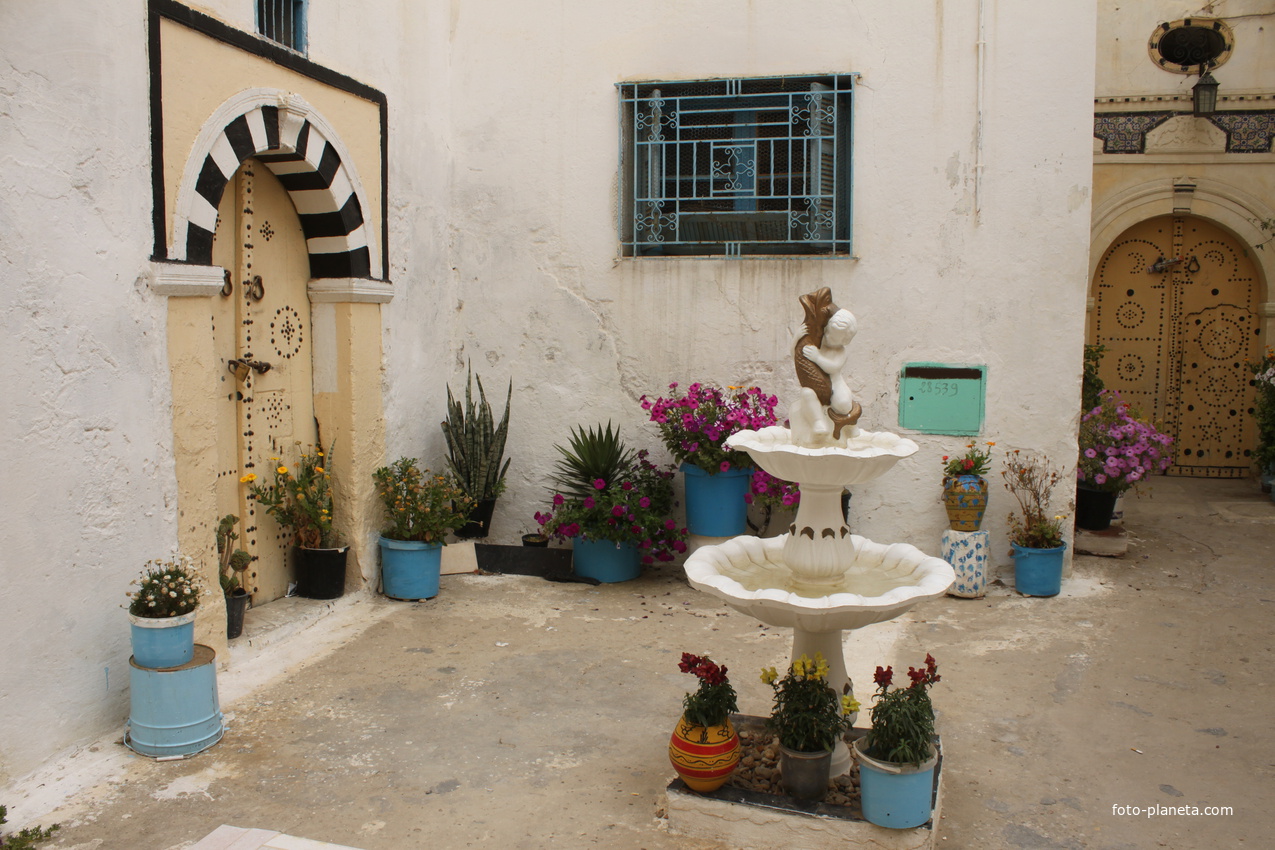 Набель. Медина.