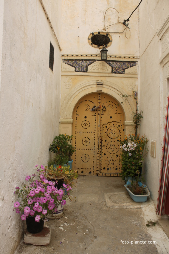 Набель. Медина.