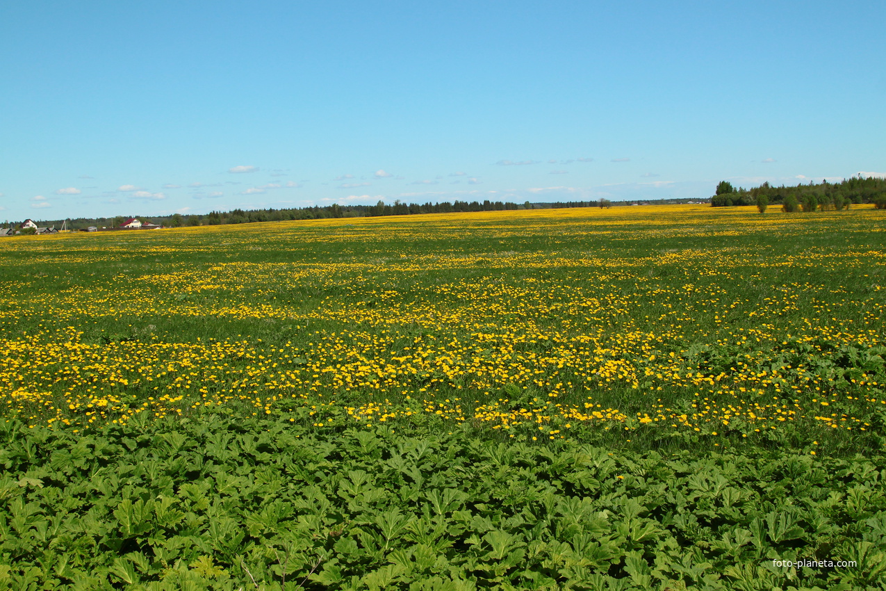 Губаницы. Окрестности.