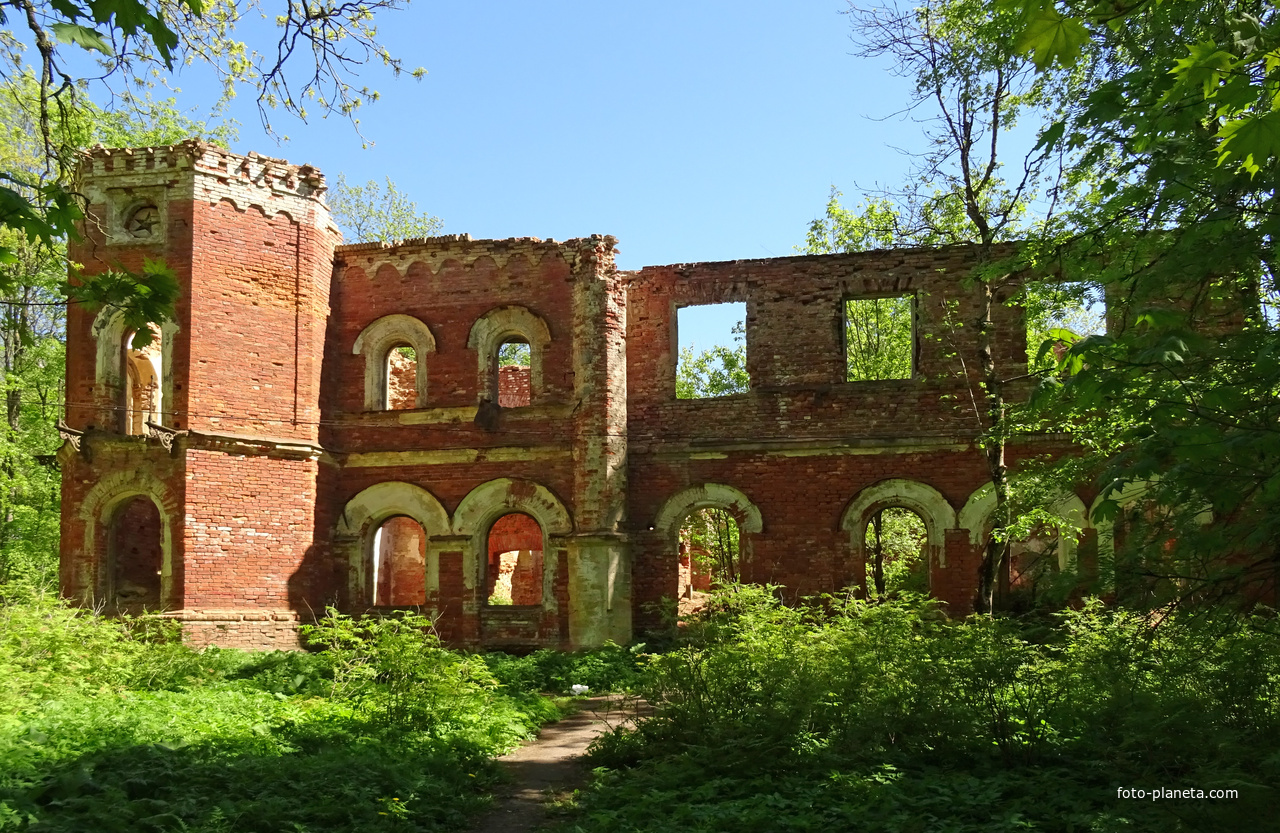 Усадьба баронов Врангелей. Руины.