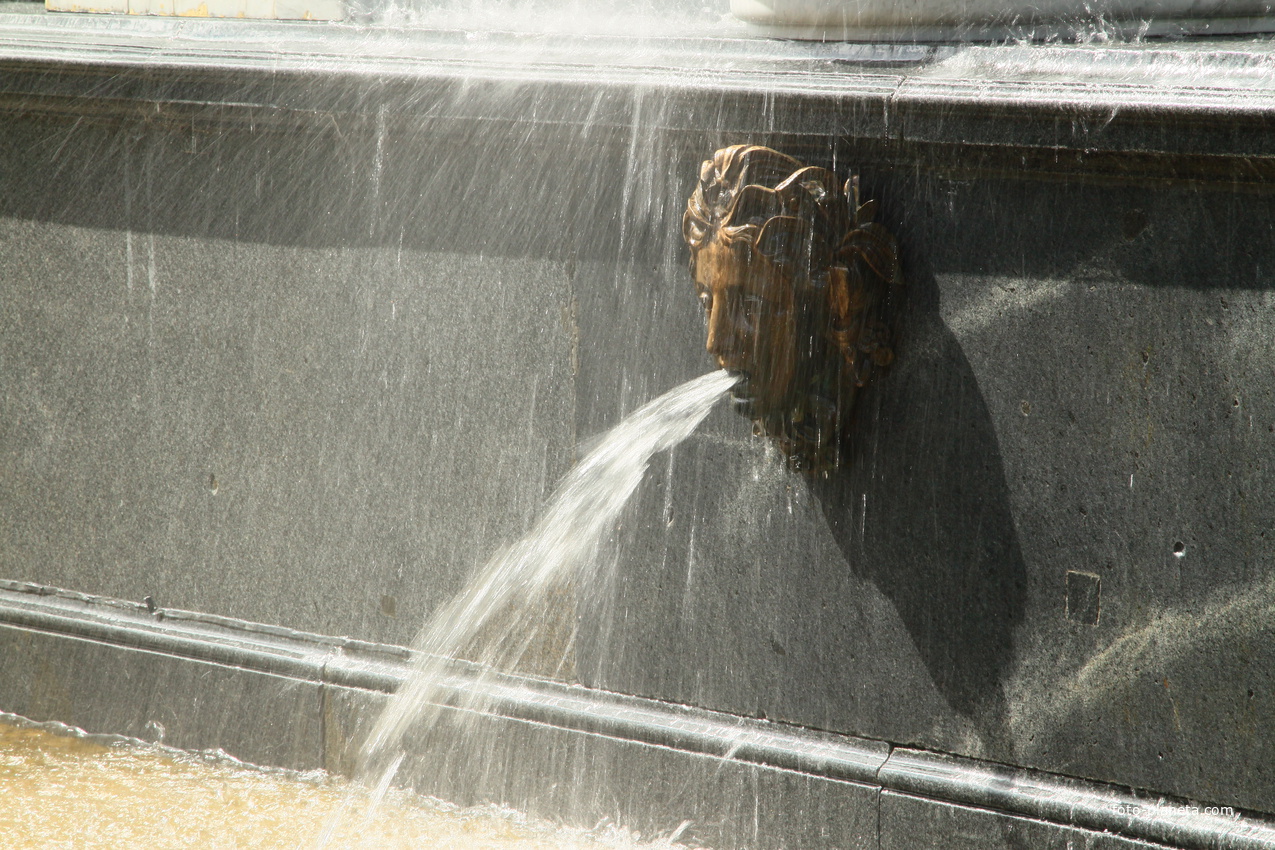 Фонтан "Львиный каскад"