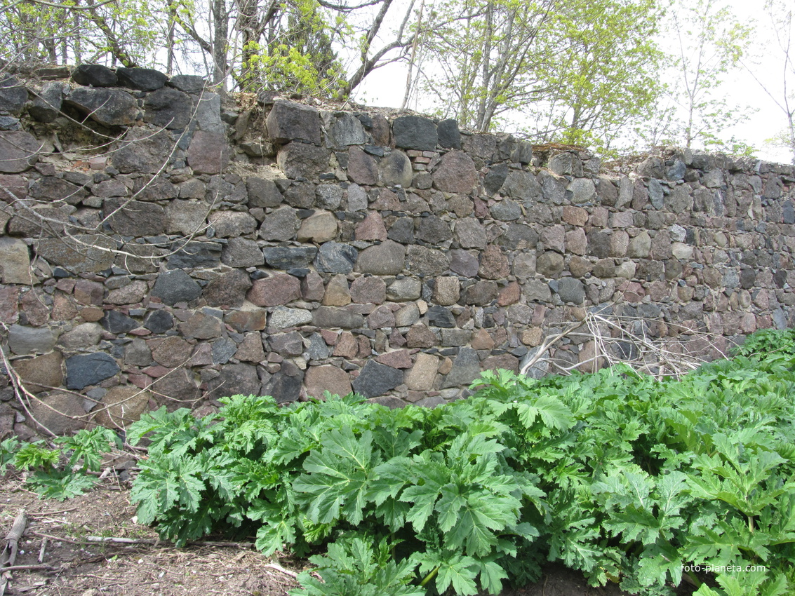 Усадьба Остен-Сакенов(Усадьба «Власова»). Руины