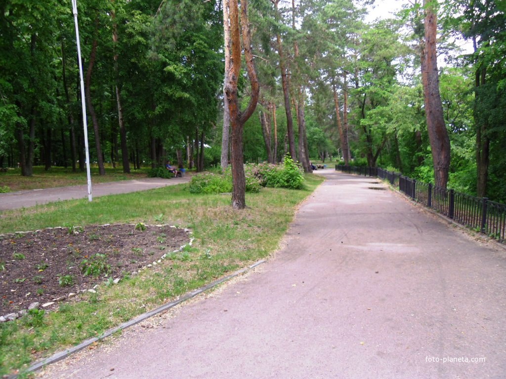 Парк Сосновый бор