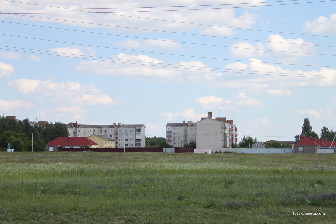 Фото в разумном