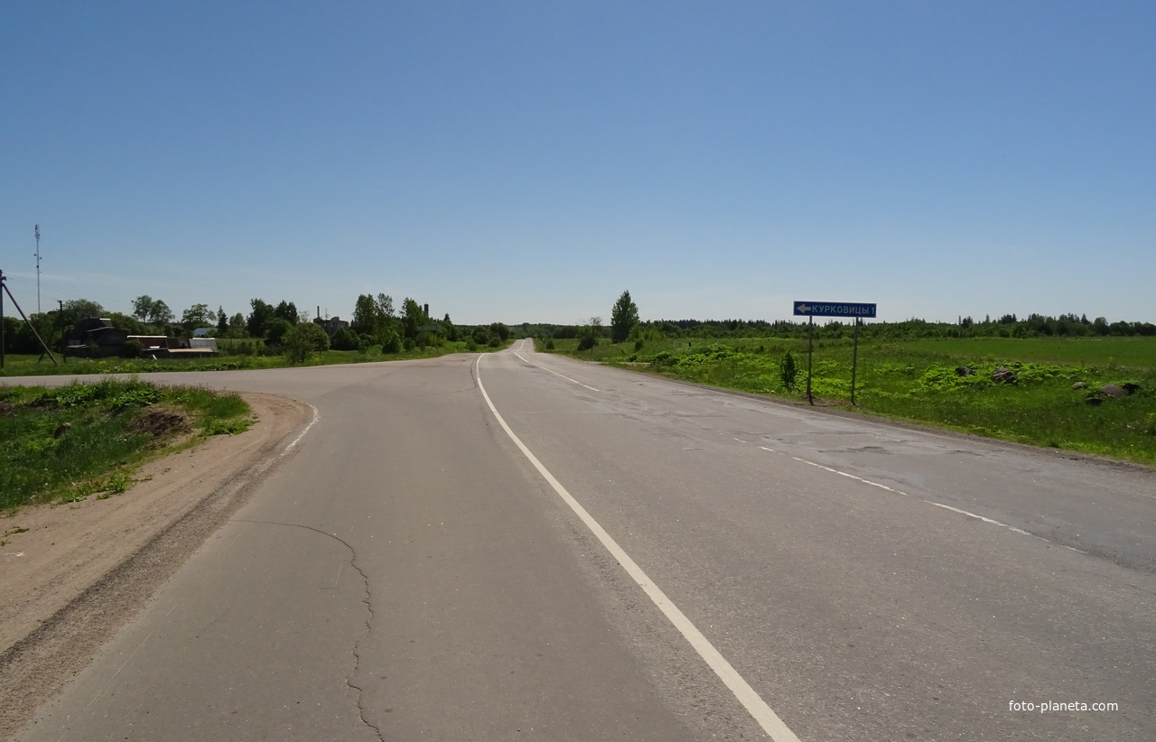 Дорога в Новые Раглицы