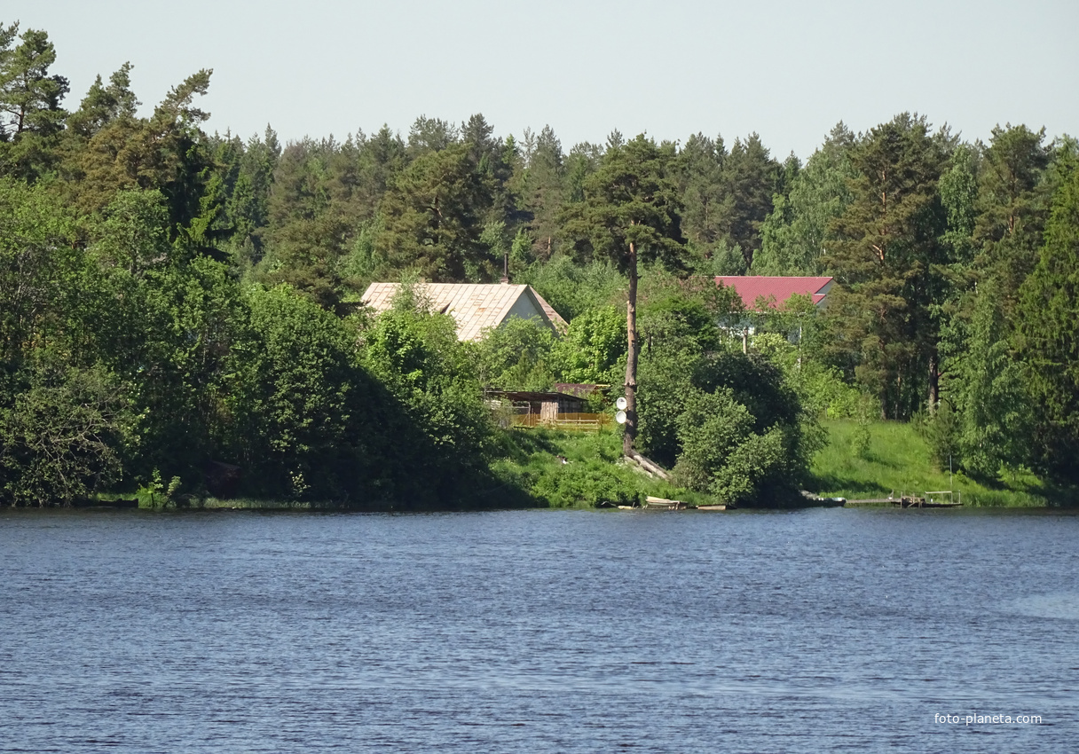 Берег реки Оредеж