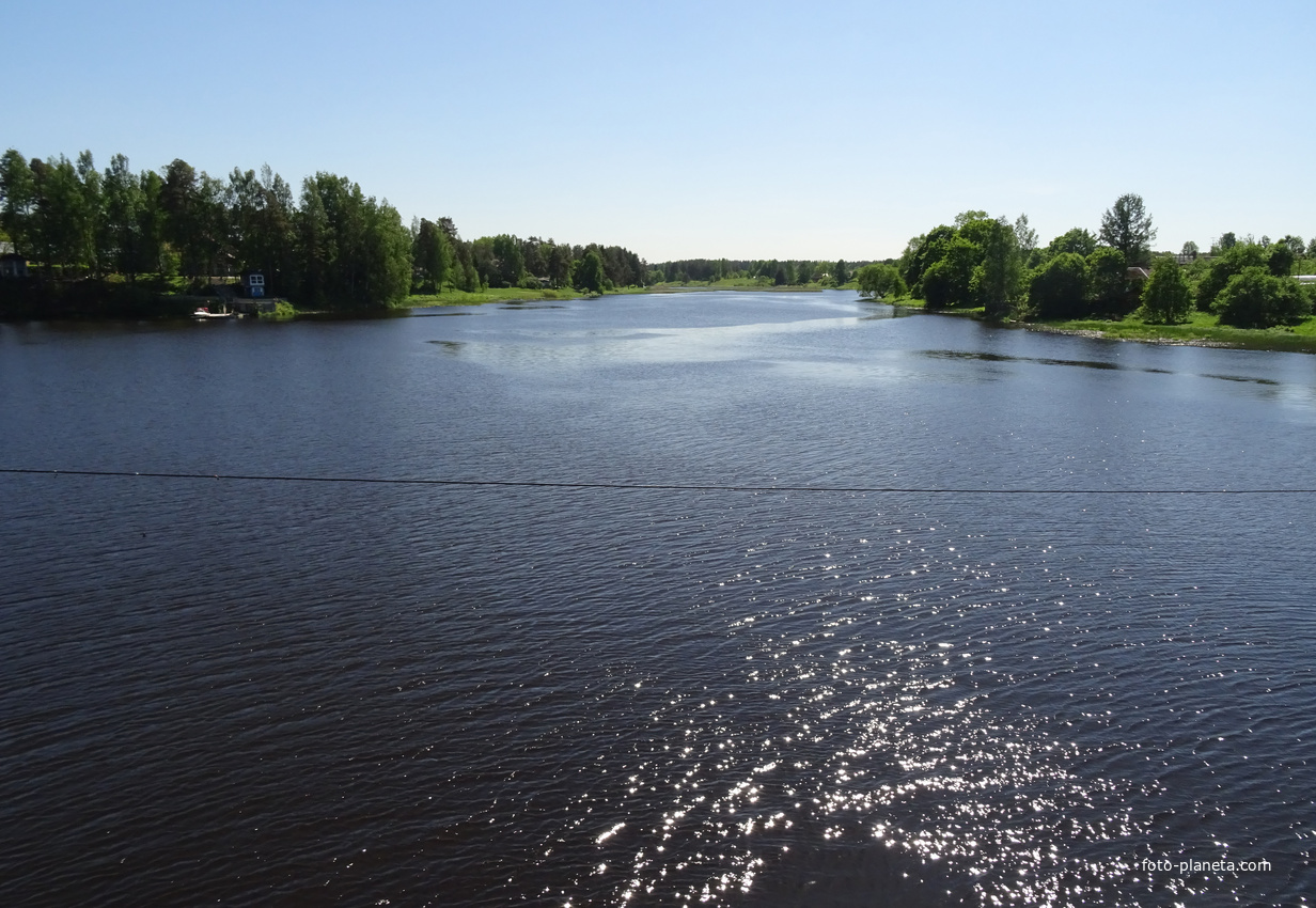 Река черная ленинградская область