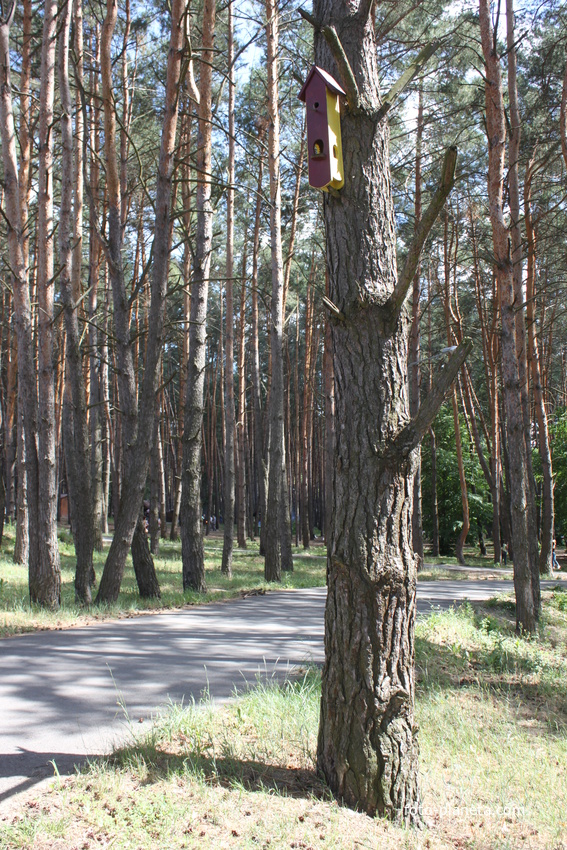 Белгород. &quot;Пикник-Парк&quot; на ул. Дальней Тихой, 2п.