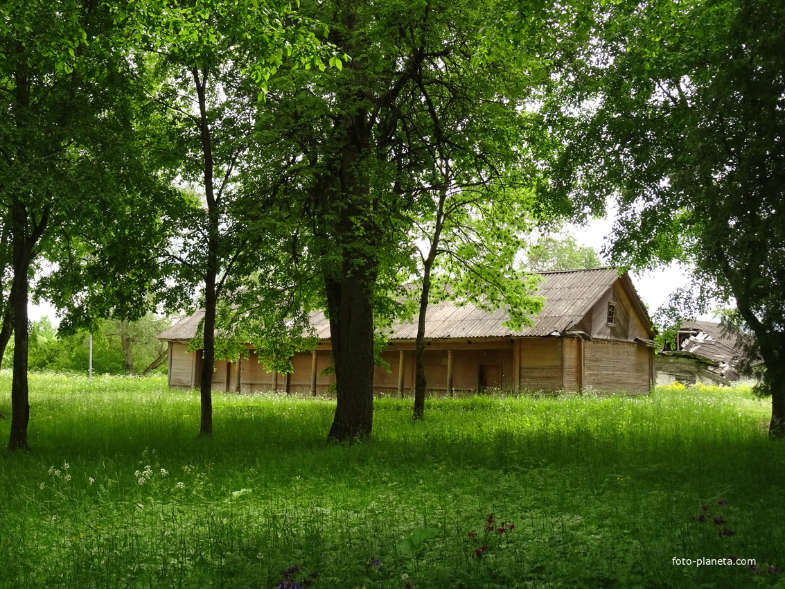 Парк усадьбы Рериха Н.К.