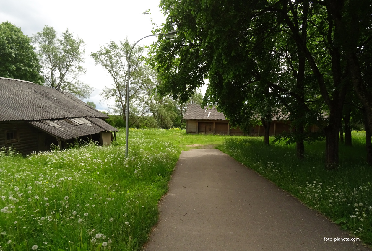 Парк усадьбы Рериха Н.К.