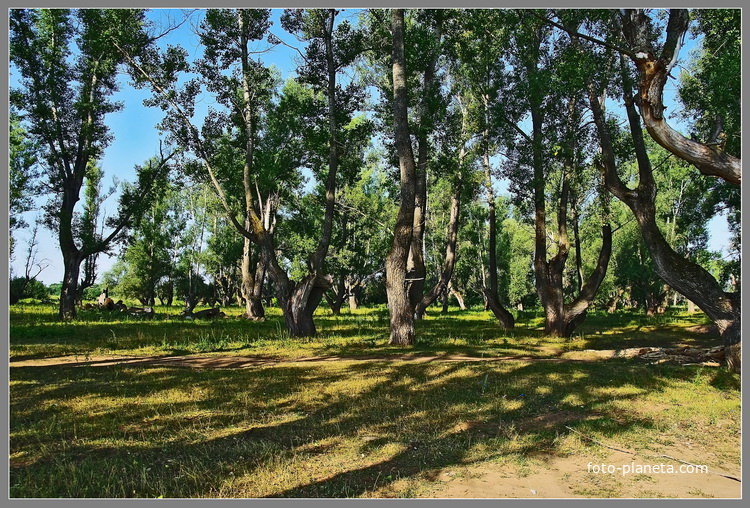 Коварды гафурийский район фото