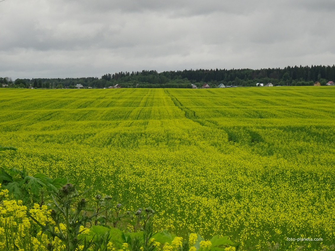 Окрестности