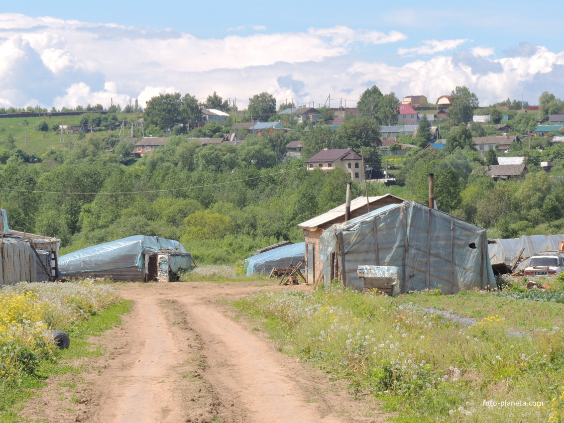 Китайская огуречная артель