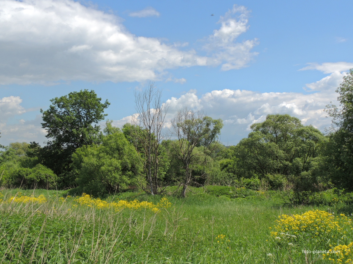 Григорьевское