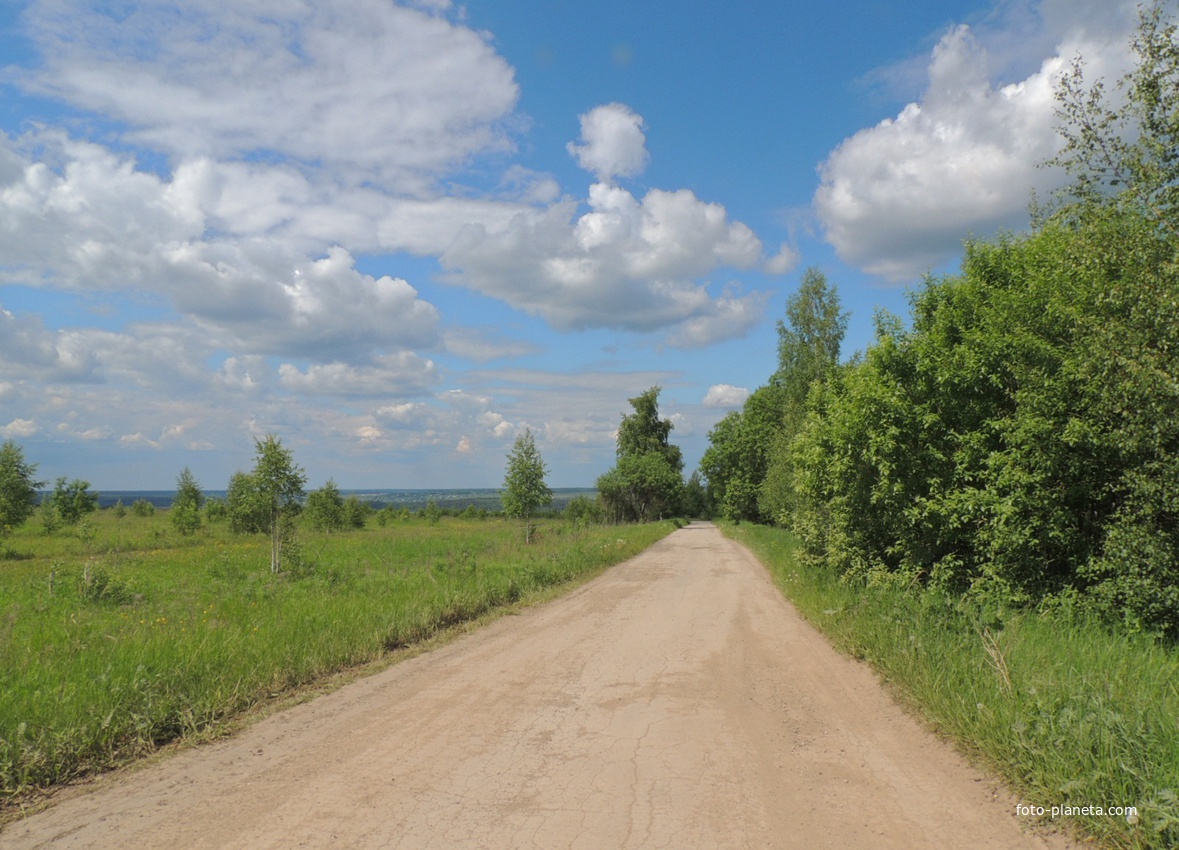 Дорога в деревню Макаровку