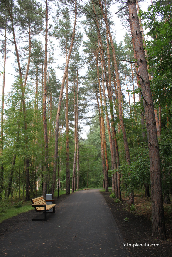 Белгород. Ул. Волчанская. &quot;ДиноПарк&quot;.