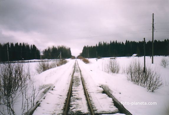 За небольшим участком леса — посёлок 6 километр. 21.03.2004