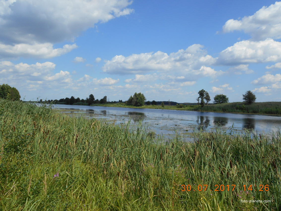 Днепровско-Бугский канал в настоящее время-август 2017 г.
