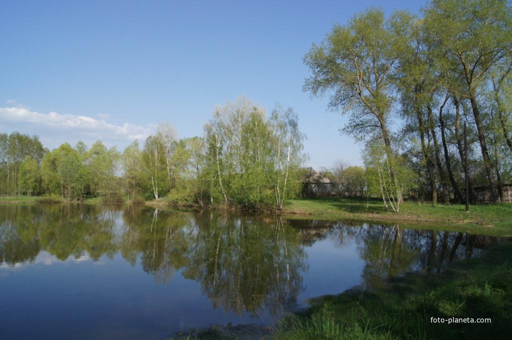 Озеро в селе Звеничев