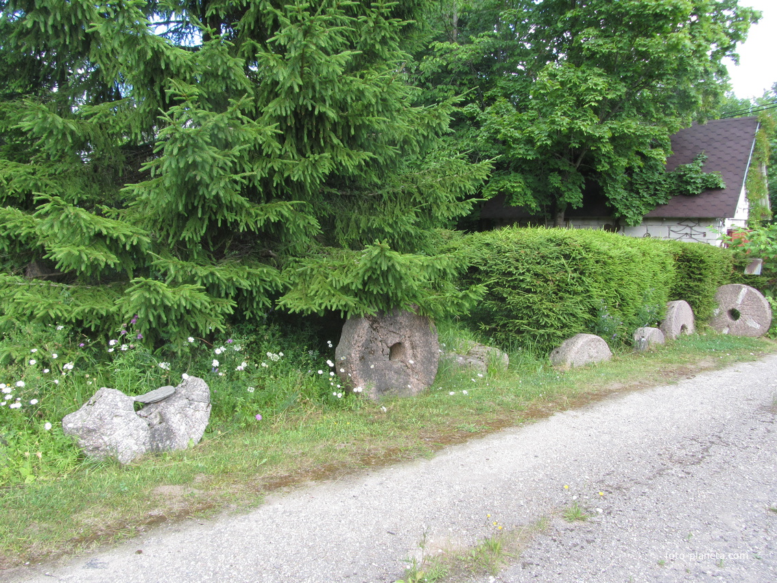 Куремяэ. Старинные жернова