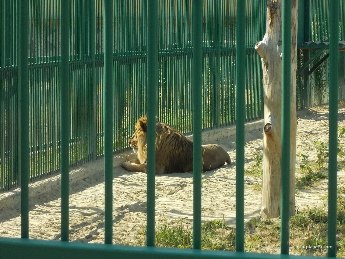 Белгород Зоопарк