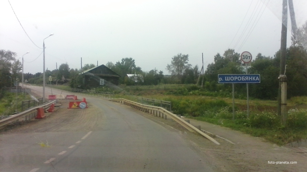 возле села Кривец