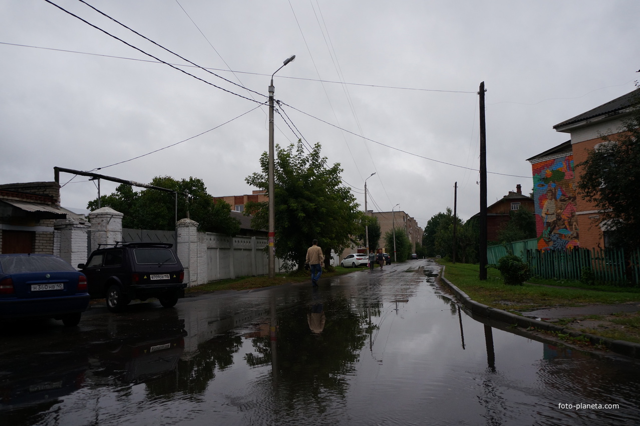 Ветеринарная улица