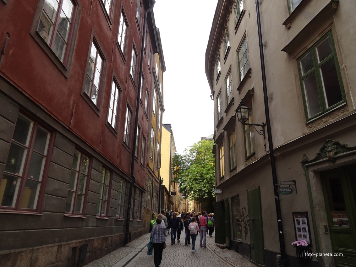 В Старом городе