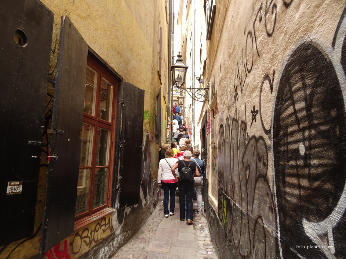 Переулок Мортена Тротзига