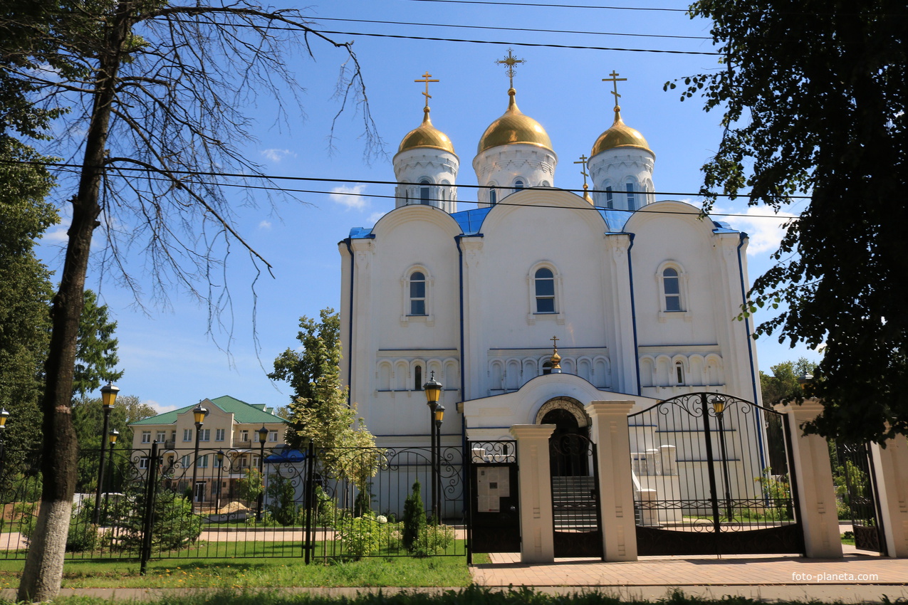 Воскресенская Церковь (Воскресенск)