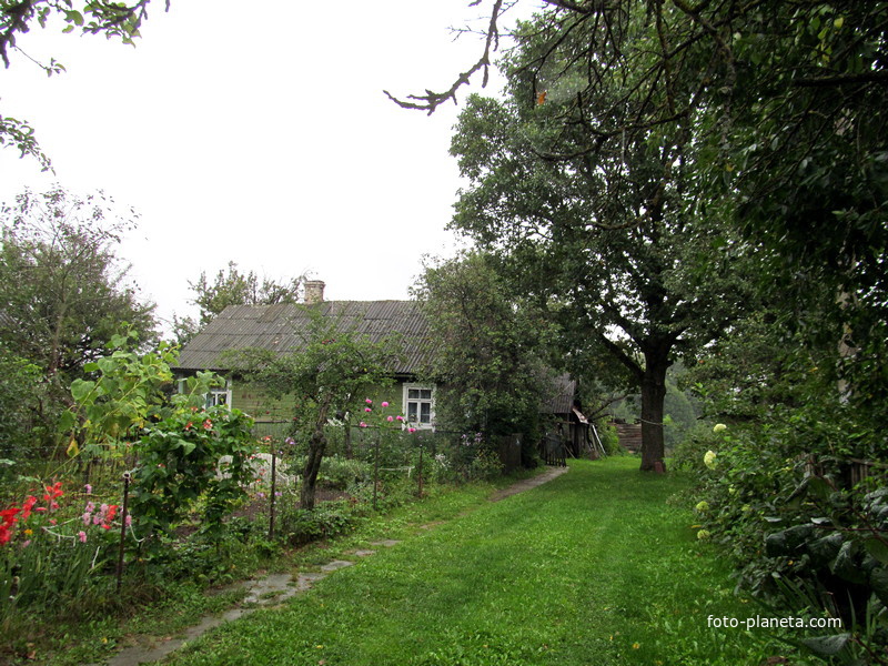 Дом в деревне Конюхи