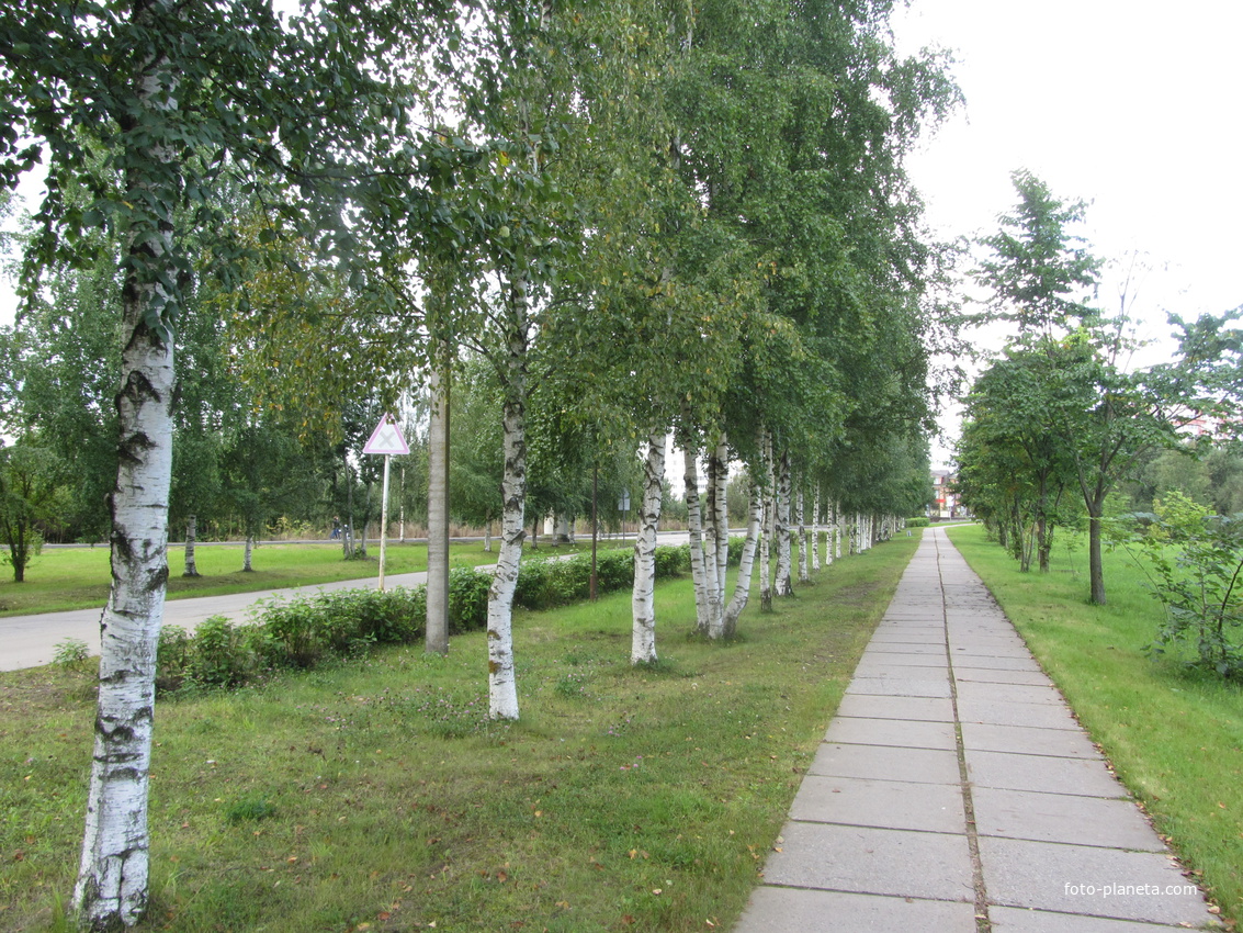 Парк  на берегу реки Ижоры в день 20-летнего Юбилея Санкт-Петербуржского картонно-полиграфического комбината