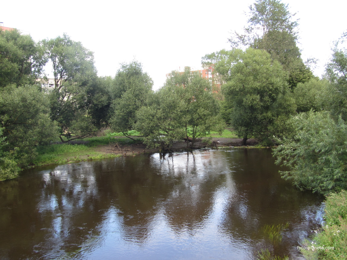 Парк  на берегу реки Ижоры