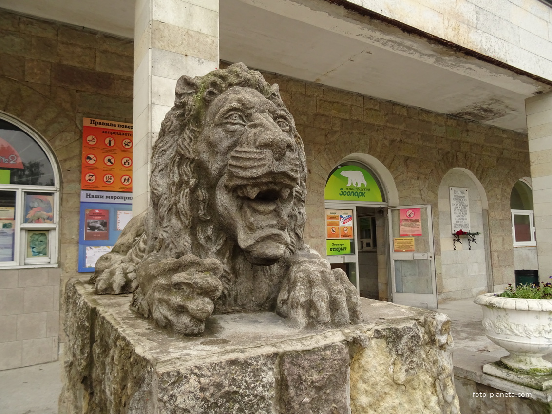 Скульптура льва перед зоопарком