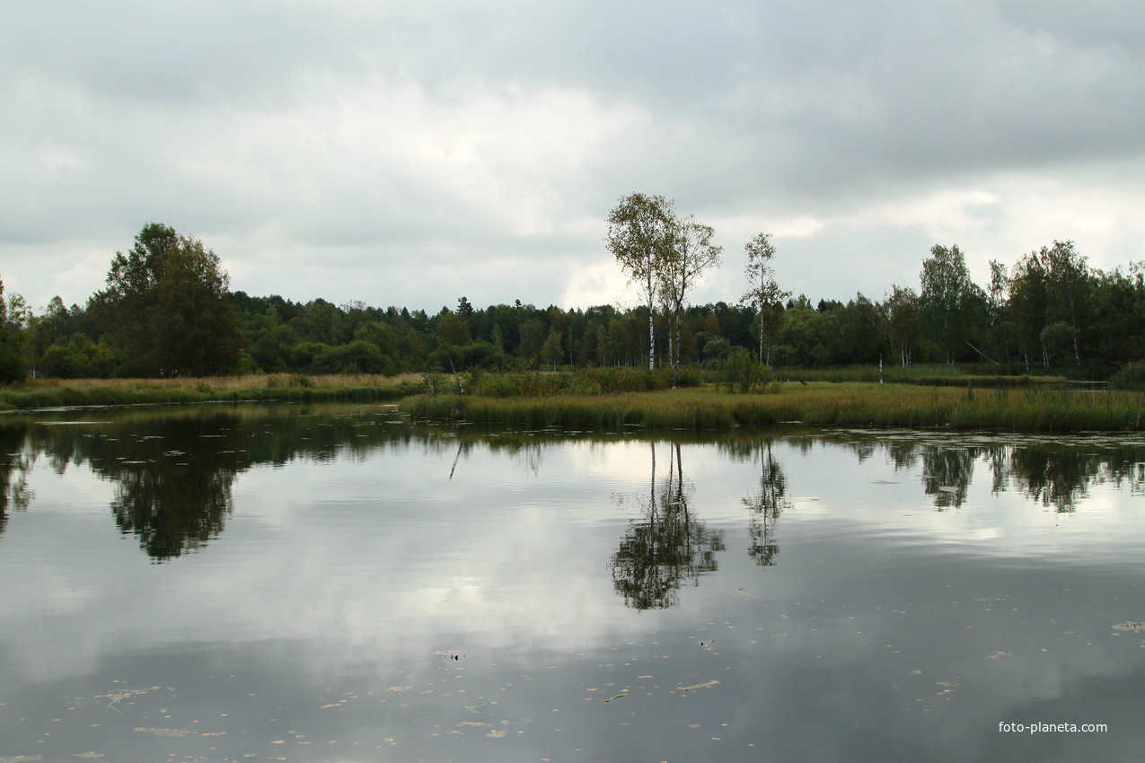 Парк Зверинец