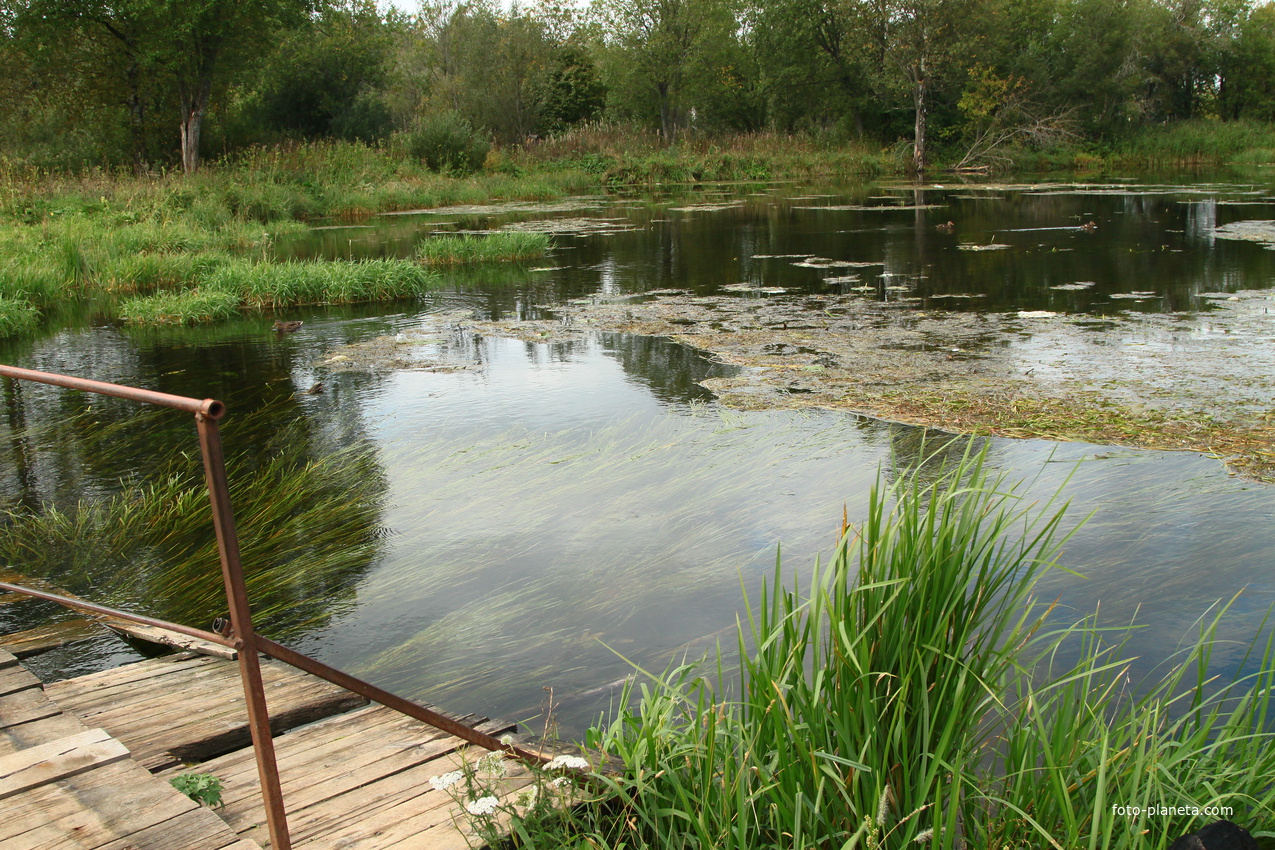 Парк Зверинец