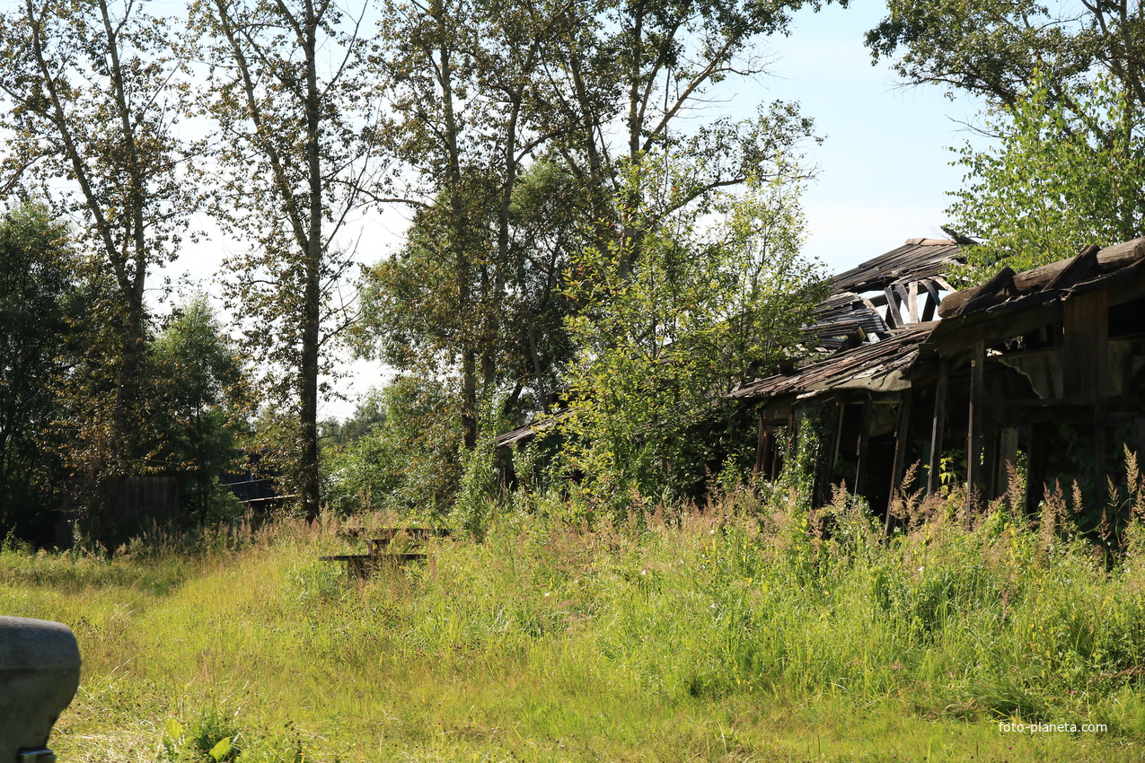 Северная Грива