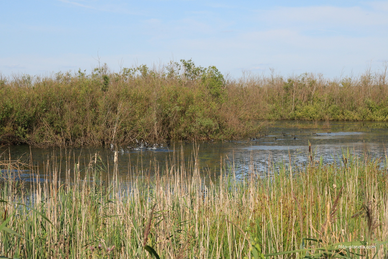Старые торфоразработки