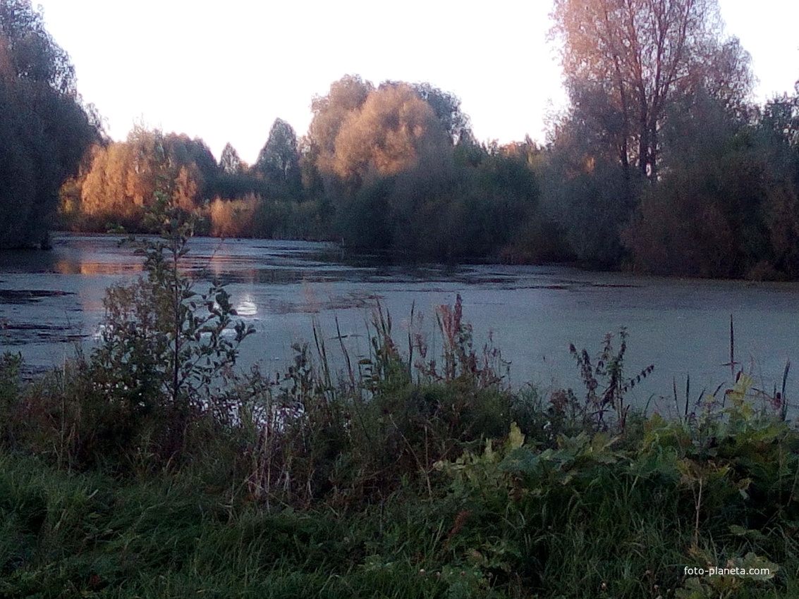 Зименковский пруд
