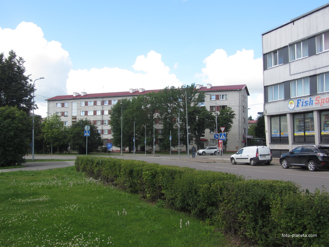 Aleksander Puškini, Нарва