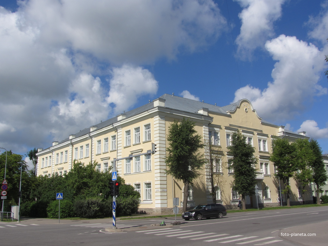 Aleksander Puškini, Нарва