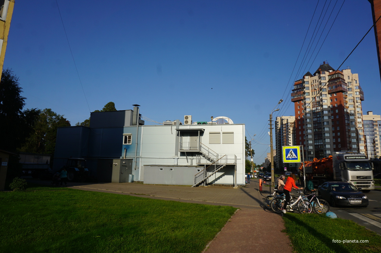 Сестрорецк.