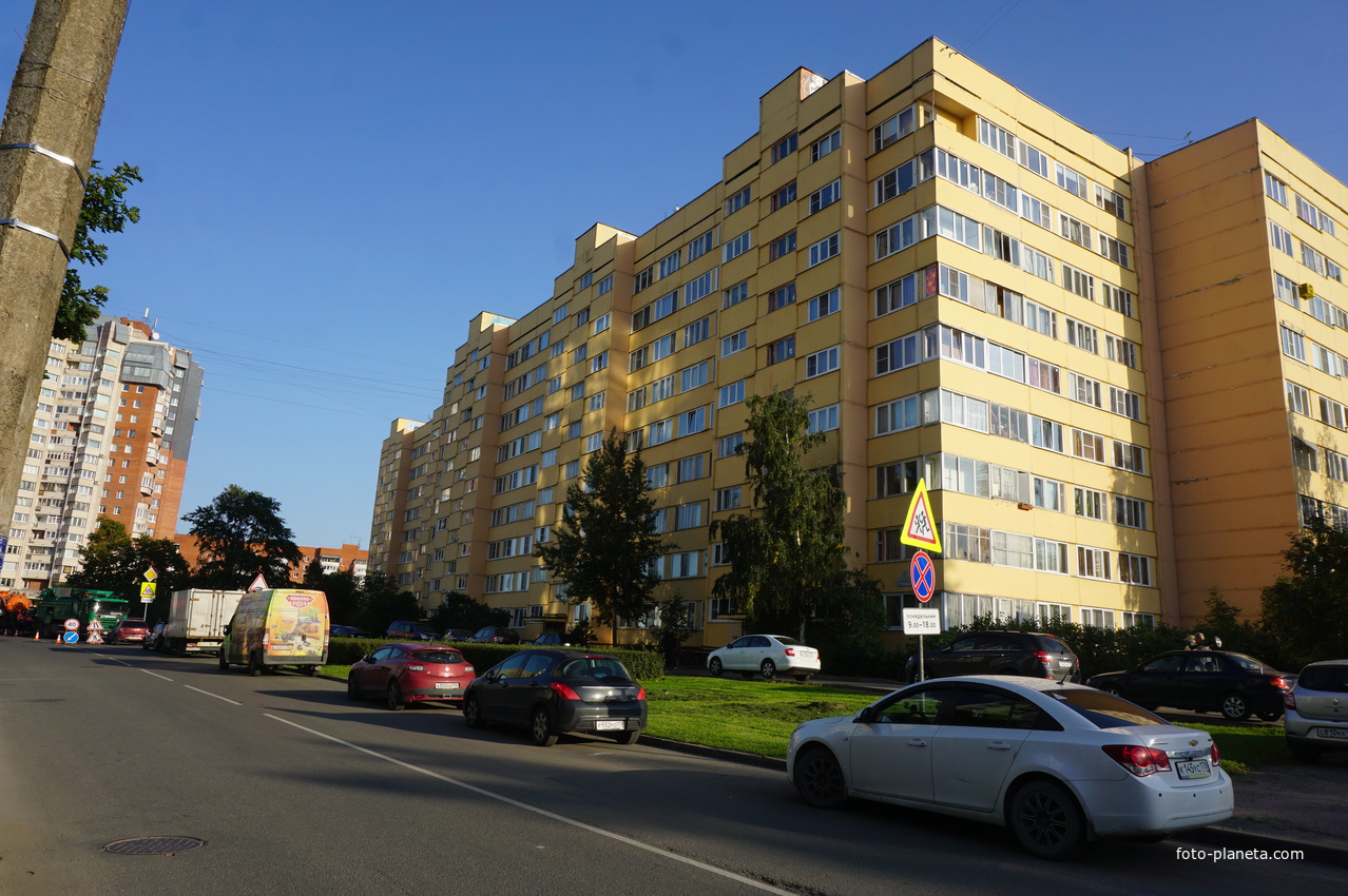 Сестрорецк.