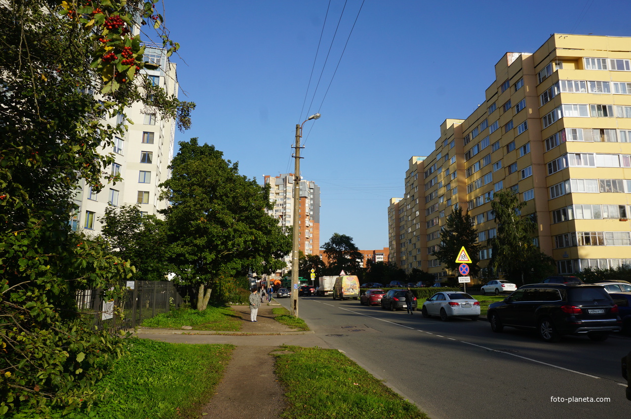 Дубовское шоссе.